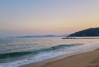 深圳大梅沙+中英街+地王观光一日游【全市上门接（2人起）】【深圳全市范围上门接（2人起），1人出行请到集合点集合；】