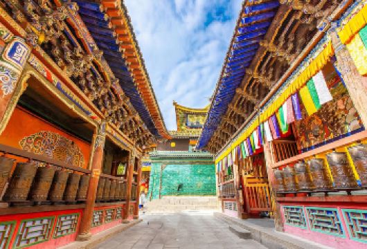 【包车游】塔尔寺半日 |  |早午两班自由选择-千年物语之行【[自由选择]早班、午班自由出行，出差商旅的醉佳选择！】