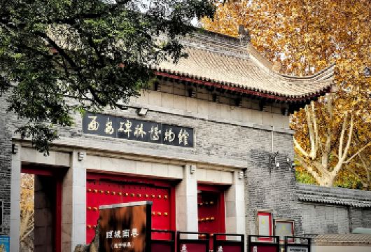 西安碑林博物馆+城墙+钟楼+鼓楼+回民街 |一日游、上门接送【甄选精华路线，适合亲子/家庭/朋友出游】
