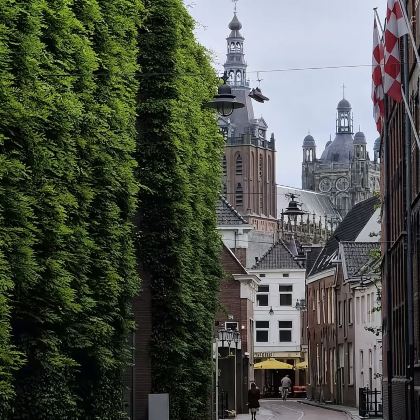 斯海尔托亨博斯五大经典景点+包车直达，轻松探秘中世纪古城！