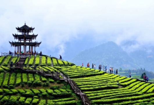 狮子关旅游区+伍家台度假区一日游【纯玩+市区接送】【[管家服务]24小时客服在线，用心接待有问题及时解决，行程无忧。】