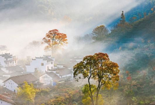 婺源风景区北线一日【思溪延村 彩虹桥 灵岩洞 石城】【婺源县城免费上门接，免费送回。出行无忧。】