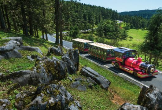 重庆天生三桥+龙水峡地缝或仙女山一日游【大巴团/赠午餐】【正规旅游大巴舒适出行，赠送特色午餐，专业导游带领舒心放心】