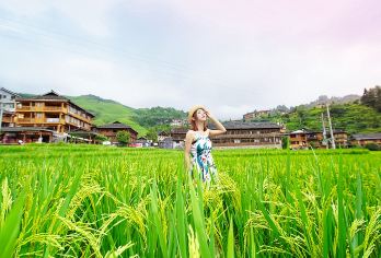 【1人可订】桂林龙脊梯田一日游 2-8人精致小团 市区上门接【真正纯玩无购物，消费透明无陷阱，专业客服全程为您服务】