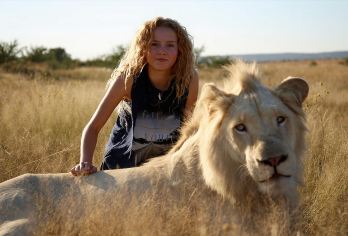 津巴布韦维多利亚瀑布：探索大猫保育基地，与狮子同行半日游奇迹【来帮助拯救非洲知名的物种, 与非洲宏伟的物种并肩漫步在维多利亚瀑布是个神奇的体验，天天发团，酒店接送】