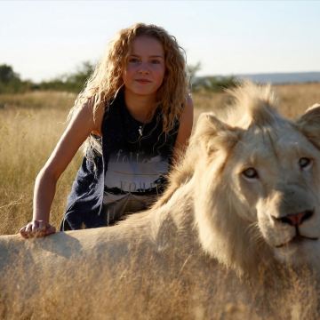 津巴布韦维多利亚瀑布：探索大猫保育基地，与狮子同行半日游奇迹