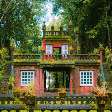 凯恩斯天空之城+阿瑟顿高原一日游【帕罗尼拉公园丨可选袋鼠谷】