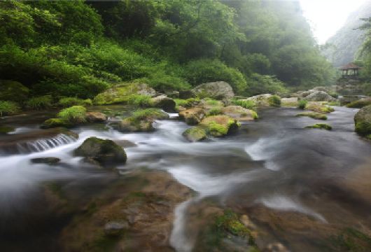 宜昌交运两坝一峡/三峡人家/清江画廊【一日游包车服务【上门接送，省心舒心】