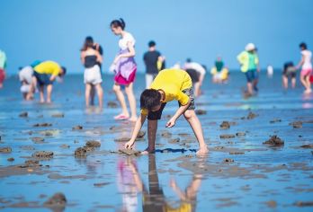 【亲子优选】曾厝垵+集美学村+滩涂赶海1日游【服务安排：0购物可加点；】