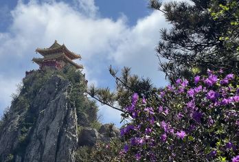 【郑州出发】河南洛阳老君山一日游【景色壮美独特：赏 5A 景区老君山十里画屏、金顶道观群，观云海，四季美景各异。】