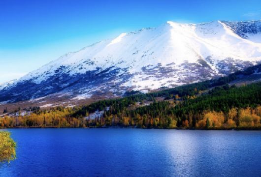 美国安克雷奇-淘金小镇-迪纳利国家公园和保留区-飞机观光【从细节出发，为您量身定制完美旅程，时间由您掌控，行程随心而定，自由自在探索每一处风景】