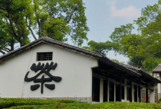 【纯玩私家团】普洱中华普洱茶博览苑+茶马古道遗址一日游【[懒人友好]纯玩小团，游玩时间充裕，一日领略普洱茶从起源到享誉世界】