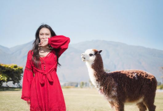 大理苍山(感通索道)+喜洲+非遗扎染体验+洱海双廊纯玩一日游【[同款亲民价]8人拼小团·私家团随心选，下关火车站和大理古城接送，远离大团巴杂乱差；】