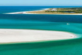 迈阿密+基韦斯特+包车游览世界上认为很美的海景公路一日游【注意：中文包车~只包车-不拼车-不组团-市区上门接送】