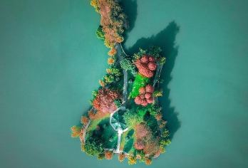 黄鹤楼+晴川阁+古琴台+古德寺+东湖绿道一日游【私家团】【[行程特色]武汉三大名楼全赏+网红必打卡 7座商务独立用车】