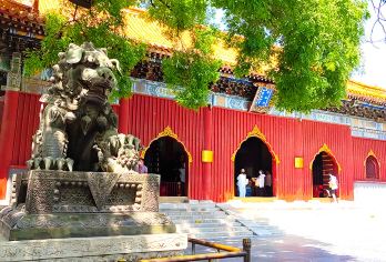 北京雍和宫一日游 私家小包团【品茶+手抄心经+听导游讲解】【品质出游】