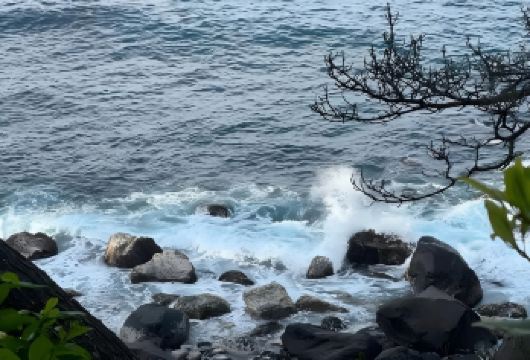 日本东京+伊豆+热海花火大会一日游/行程可调-可定制多日【包车一日游，解锁旅行新方式！独立车辆配备经验丰富的老司机，为您量身打造专属行程。】