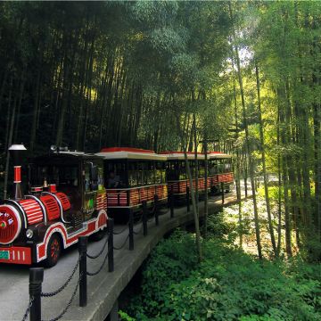 溧阳天目湖山水园+天目湖南山竹海景区包车游【无锡出发】