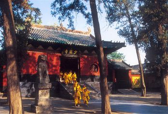 龙门石窟+少林寺一日游【市区指定范围接|纯玩无购物|含耳麦】【[贴心赠送]成人免费使用无线耳麦，超长距离听导游讲解，畅快游玩；】