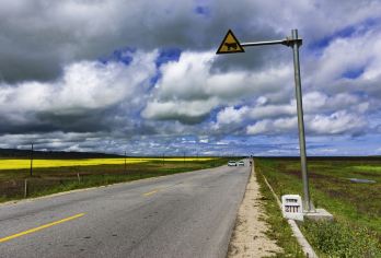 【环游青海湖】黑马河+环湖西路+网红断崖+观赏湟鱼洄游一日游【[感受自由]总要去吹吹青海湖的风，感受青海湖咸咸的气息！】