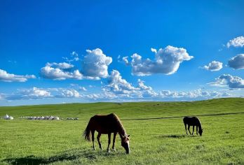 北京+坝上草原+私人定制&行程可调@【北京---丰宁坝上----闪电湖----乌兰布统---公主湖---盘龙峡谷（5日游）】
