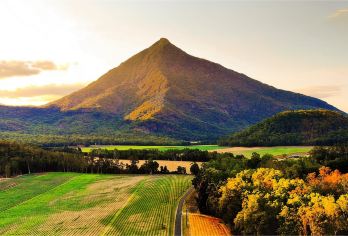 【含澳式BBQ/寻找鸭嘴兽】凯恩斯亚瑟顿高原夜游金字塔山【打卡网红景点 - 金字塔山、百年神树 - 教堂无花果树】