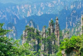 湖南张家界国家森林公园一日游【快速入园+6大环保车快速通道】【[特有VIP服务]—核心景区VIP享受快速入园+6大环保车快速通，老人儿童家庭出游推荐！】