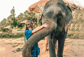 清迈纳财大象营+粘粘瀑布一日游 骑大象/竹筏漂流 含餐含接送【与象亲密互动：在纳财大象营，喂养大象、陪小象玩耍、深入了解大象生活，收获独特体验。】