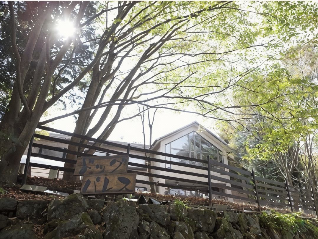 Dog Palace Resort Aso Otohime