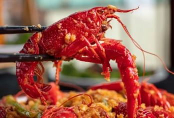 黄鹤楼+辛亥革命纪念馆+东湖+毛主席旧居一日活动【私家团】【[行程特色]穿越千年近代史、感受江城变迁】