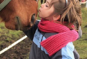 赏景观演|新疆南山牧场+特色演出纯玩一日+6人小团+上门接送【乌鲁木齐周边著名景点+本地特色演出+专业司导+多团型可选+活动时间足】