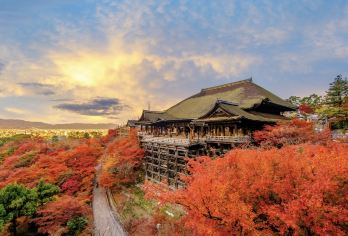 日本京都国立博物馆-八坂神社-哲学之道【中文专车 舒适纯净】【中文专车出行，景点灵活调整，打卡经典，游玩自己定义，无需等待，专属贴心服务，尽享惬意旅程】