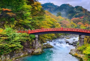 日本东京+日光+华严瀑布一日游/行程可调-可定制多日【包车一日游，解锁旅行新方式！独立车辆配备经验丰富的老司机，为您量身打造专属行程。】