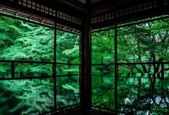 日本京都/贵船神社-三千院.岚山巍峨野小火车-红叶巡礼红叶季【专业行程定制，精选热门景点，高效游玩不走回头路，贴心服务保障，轻松】