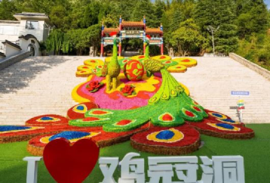 上门接封顶8人团·栾川鸡冠洞深度一日游【[优选线路]精选一日游线路，丰富行程，超高性价比】