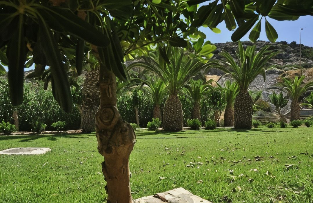 Begeti Bay Hotel