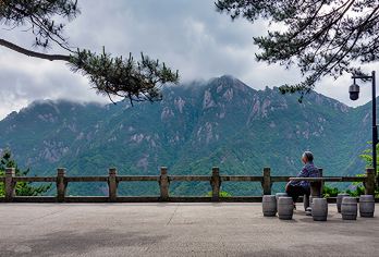 九华山+九华山大愿文化园一日游【池州市区接送 祈福之旅】【[品质纯玩]全程纯玩无购物、专线导游带队、还您品质旅程】