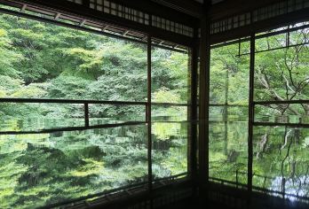 日本京都琉璃光院-比睿山-东山慈照寺【中文专车 舒适纯净】【中文专车出行，景点灵活调整，打卡经典，游玩自己定义，无需等待，专属贴心服务，尽享惬意旅程】