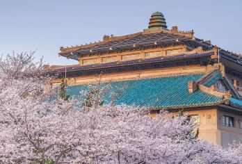 “大咖说“武汉大学半日游 2.5H深度讲解 体验武大校园生活【[2.5小时策划主题讲解] 拒绝走马观花解读武大建筑+历史】