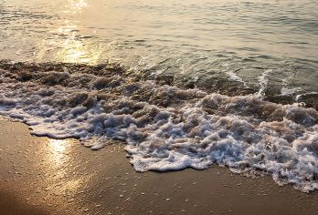 青岛+崂山风景区一日游【崂顶巨峰之旅/赠游艇出海/6人小团】【[品质纯玩]没错！这就是你要的品质团！保证参团后不再收取任何自费！】