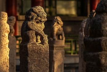 西安碑林博物馆一日游【2.5-3小时讲解深度趣味讲解含门票】【可选上午场/下午场】