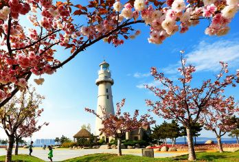 【包车游】海驴岛+火炬八街+威海市区+荣成东线景点自组游玩【纯玩无购物包车自由行（不含景点门票），自家车队统一管理，车况好手续全，出行无忧！】