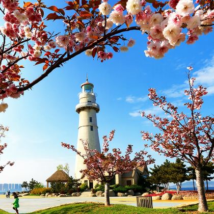 【包车游】海驴岛+火炬八街+威海市区+荣成东线景点自组游玩