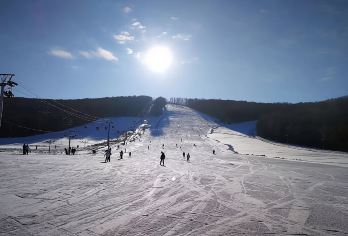 帽儿山滑雪场一日游【包含雪鞋雪板雪杖+往返车费，5s滑雪场】【[产品特色]体验型滑雪初级魔毯 热身型滑雪初中级（拖牵+魔毯） 专业型滑雪中级（吊椅+拖牵）】