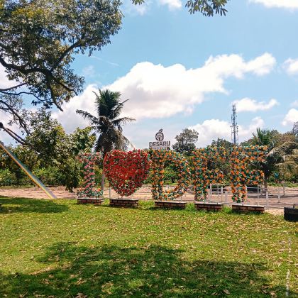 柔佛迪沙鲁10小时包车 | 新山出发【行程可调整】