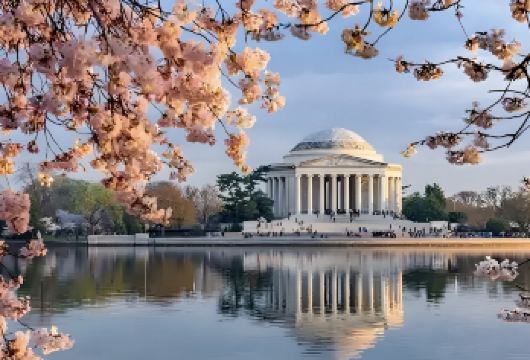 美国纽约&华盛顿经典游 可定制多日【中文专车-舒适纯净】【中文专车出行，景点灵活调整，打卡经典，游玩自己定义，无需等待，专属贴心服务，尽享惬意旅程】