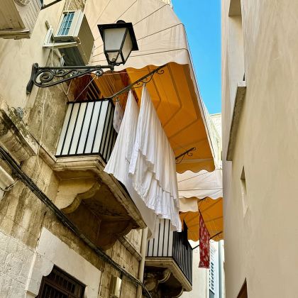 巴里：导览徒步之旅，更有特别惊喜