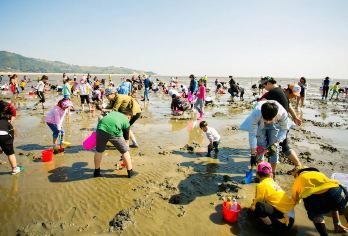 崂山风景区+仰口游览区+会场赶海园一日游【市区接/亲子赶海】【专车直达，省做攻略，游玩时间充足】