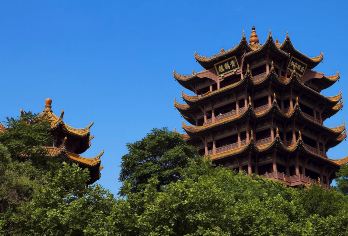 武汉：黄鹤楼~武汉大学~古德寺 中英多语种导游|翻译|包车Q【登古黄鹤楼，观千年江流，游百年名校，赏迎春樱雪】