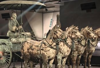 【真纯玩•赠早餐•赠妆造】兵马俑+丽山园+50周年展一日游【[品质服务]全程一团一讲+深度讲解+甄选10年以上优质导游，不背书】